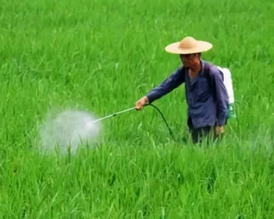 農藥好色先生TV在线观看