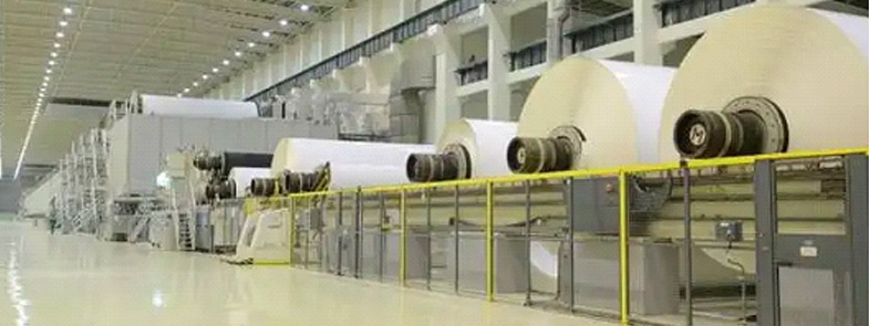 造紙好色先生TV在线观看