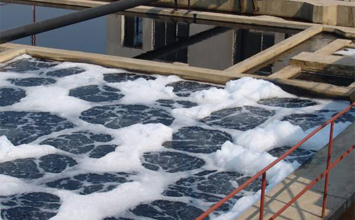 廢水好色先生TV在线观看